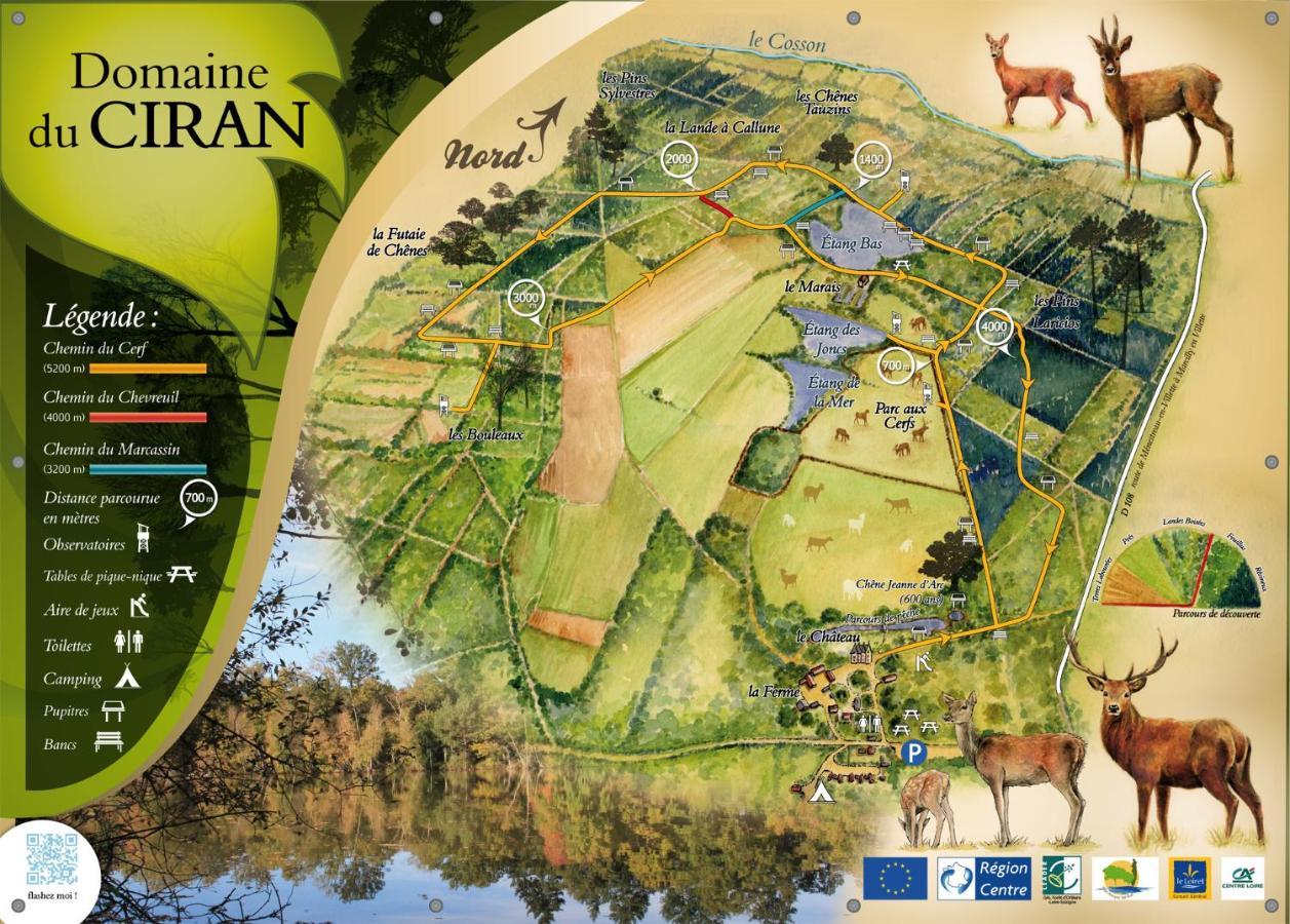 Le Cocoon D'Annabelle - Jolie Maison Avec Jeux Et Grand Jardin Pierrefitte-sur-Sauldre Eksteriør billede